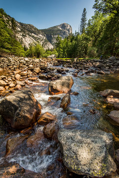 Yosemite creek in the summer