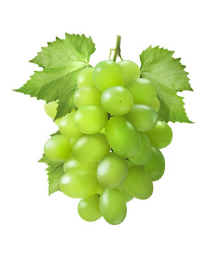 Green grapes vertical with leaves isolated on white background