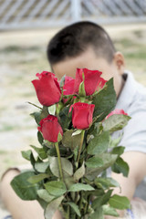 Red rose at beautiful in hand