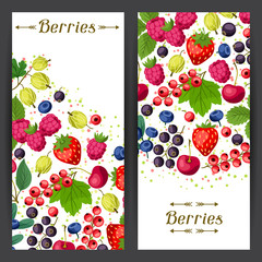 Nature banners design with berries.