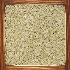 Rice, collection of products