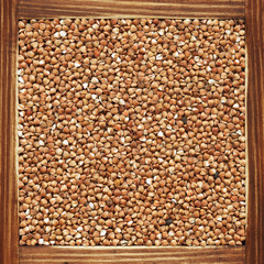 Buckwheat, collection of products