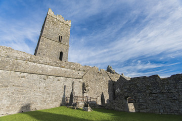 Fototapeta na wymiar Clarecastle Abbey in Ireland