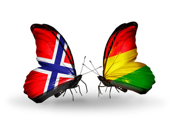 Two butterflies with flags Norway and Bolivia