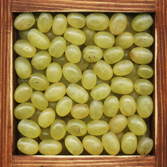 Grapes, collection of products