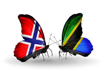 Two butterflies with flags Norway and Tanzania