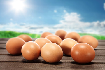 eggs