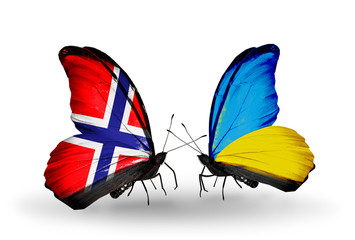Two butterflies with flags Norway and Ukraine