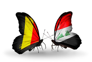 Two butterflies with flags Belgium and  Iraq