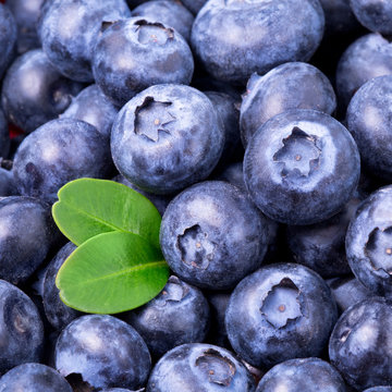 blueberries