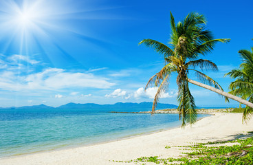 Fototapeta na wymiar Tropical beach - vacation background