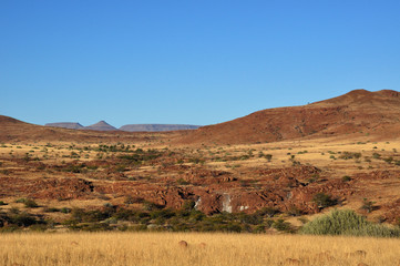 Desertic landscape in Palmwag Conservancy