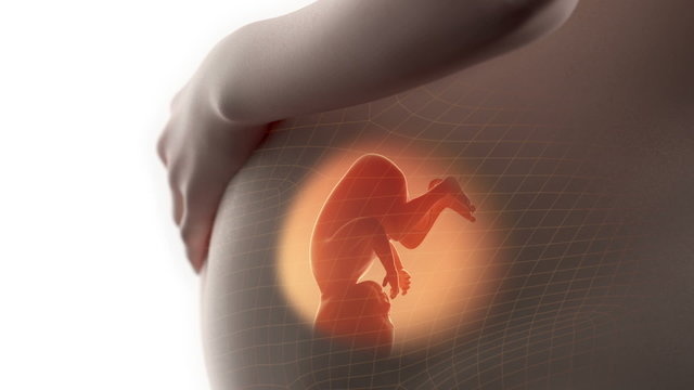 Pregnant woman with moving fetus