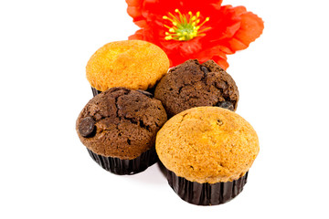 Frisch Gebackene Muffins