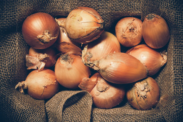 yellow onions in rustic burlap and wood setting