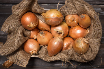 yellow onions in rustic burlap and wood setting
