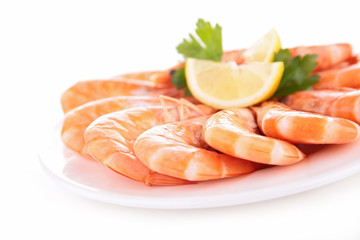 fresh shrimp