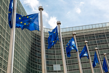 European flags  in Brussels