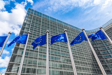 Deurstickers Europese vlaggen in Brussel © Sergii Figurnyi