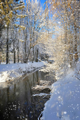 Fototapeta na wymiar Beautiful winter landscape with the river