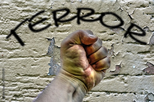 an essay on dhs and the fight against terrorism an essay on dhs and the fight against terrorism