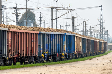 Zuckerrüben und Güterzug