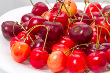 Large  cherries  on a white plate