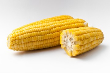 Boiled corn on white background