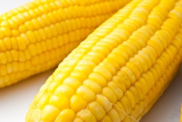 Boiled corn on white background