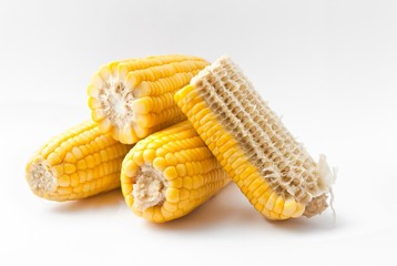 Boiled corn on white background