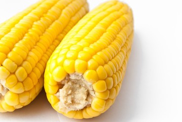 Boiled corn on white background