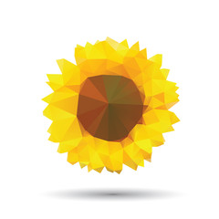 Vector abstract sunflower abstract isolated on a white backgroun