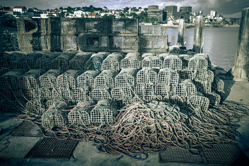 traps for catching crab and lobster in the port
