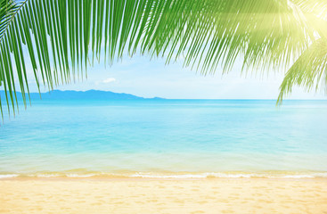Obraz na płótnie Canvas Beautiful beach with palm tree over the sand