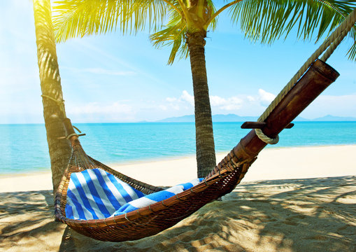 Empty Hammock Between Palm Trees On Tropical Beach