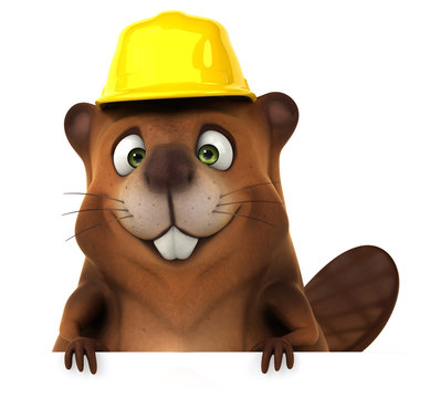 Fun beaver