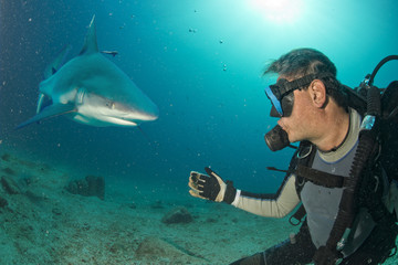 Underwater selfie with Grey shark ready to attack - obrazy, fototapety, plakaty