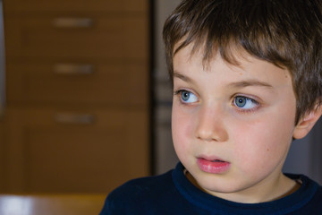 Schoolboy concentrating; at home doing homework