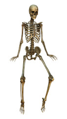 Dancing Skeleton