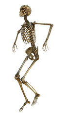 Dancing Skeleton
