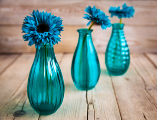 blue gerbera flower in a vase on wooden background