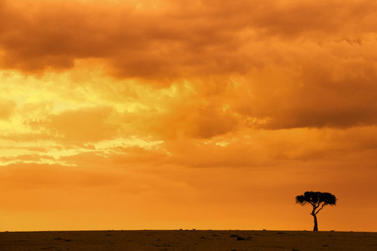 Cloudy sky just before sunset, Kenya.