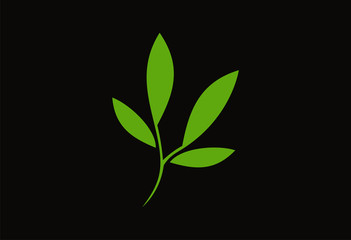 Green leaf logo vector
