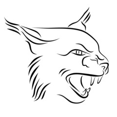 Obraz premium Head Of Angry Lynx Ink Line Art