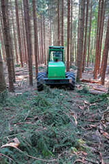 Holzerntemaschine im Wald