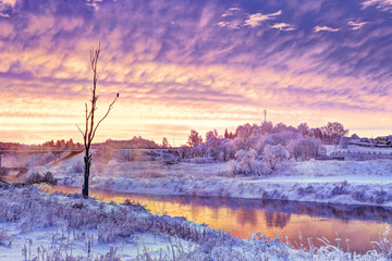 Winter dawn in the Moscow region. Frost