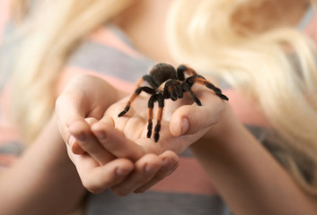 girl holding a large spider on  hands