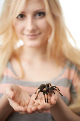 girl holding a large spider on her hands