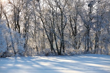 Winter Park