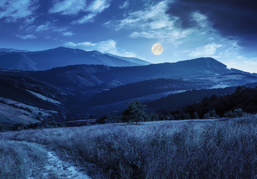 path on hillside meadow in mountain at night